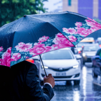 Blooming in the Rain