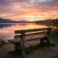 Sunset Club – Flash Fiction March 23 2026